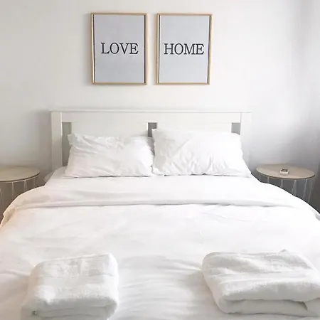 Joy Spacious Ultracentral Apartment Timisoara
