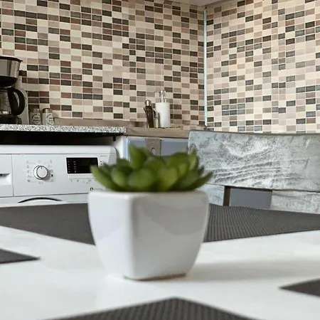 Apartment Joy Spacious Ultracentral Timisoara