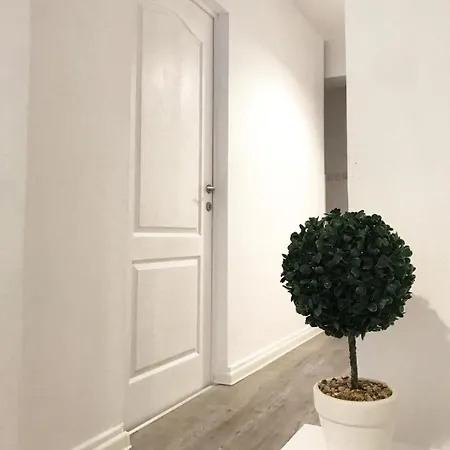 Joy Spacious Ultracentral Apartament *