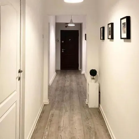 Joy Spacious Ultracentral Timisoara