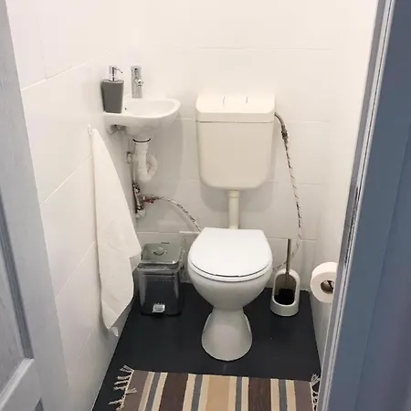Joy Spacious Ultracentral Apartment Timisoara