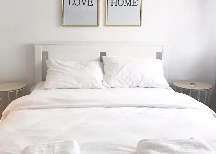 Joy Spacious Ultracentral Apartment Timişoara