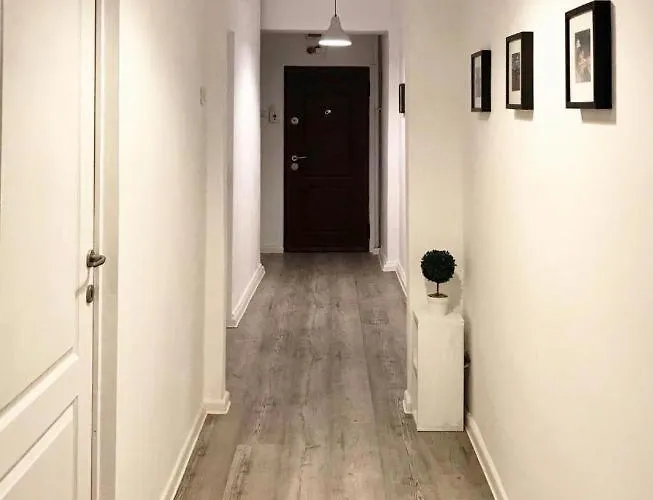 Joy Spacious Ultracentral Timişoara