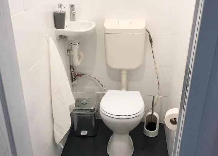 Joy Spacious Ultracentral Apartment Timişoara